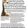 21447 - Extreme Advertising