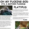 10929 - Popular Extreme Advertising Pictures - 9
