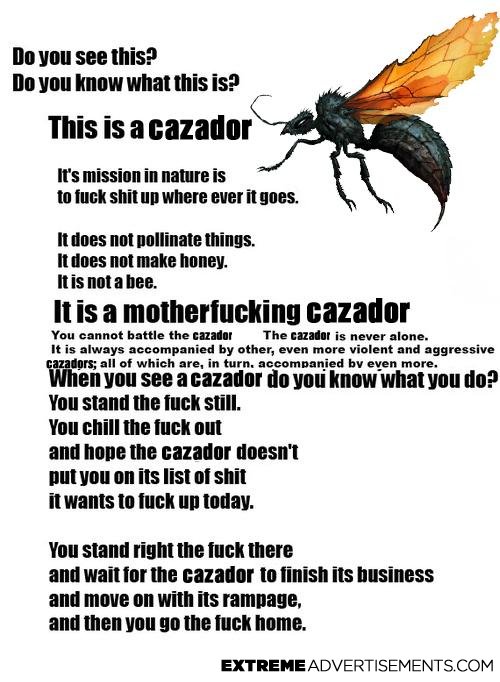 Cazador