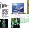 39332 - Unmoderated Extreme Advertising Pictures - 2