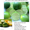 3975 - Popular Extreme Advertising Pictures - 7