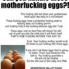 85587 - Extreme Advertising